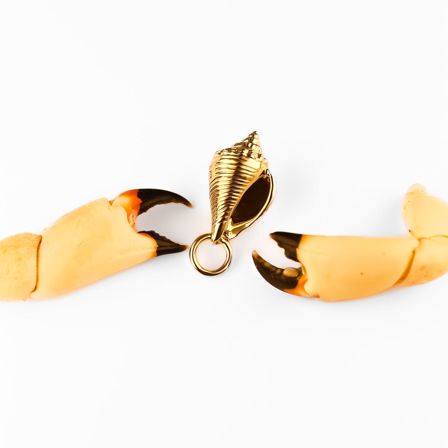 A gold conch shell pendant charm positioned between two crab claws on a plain white background.