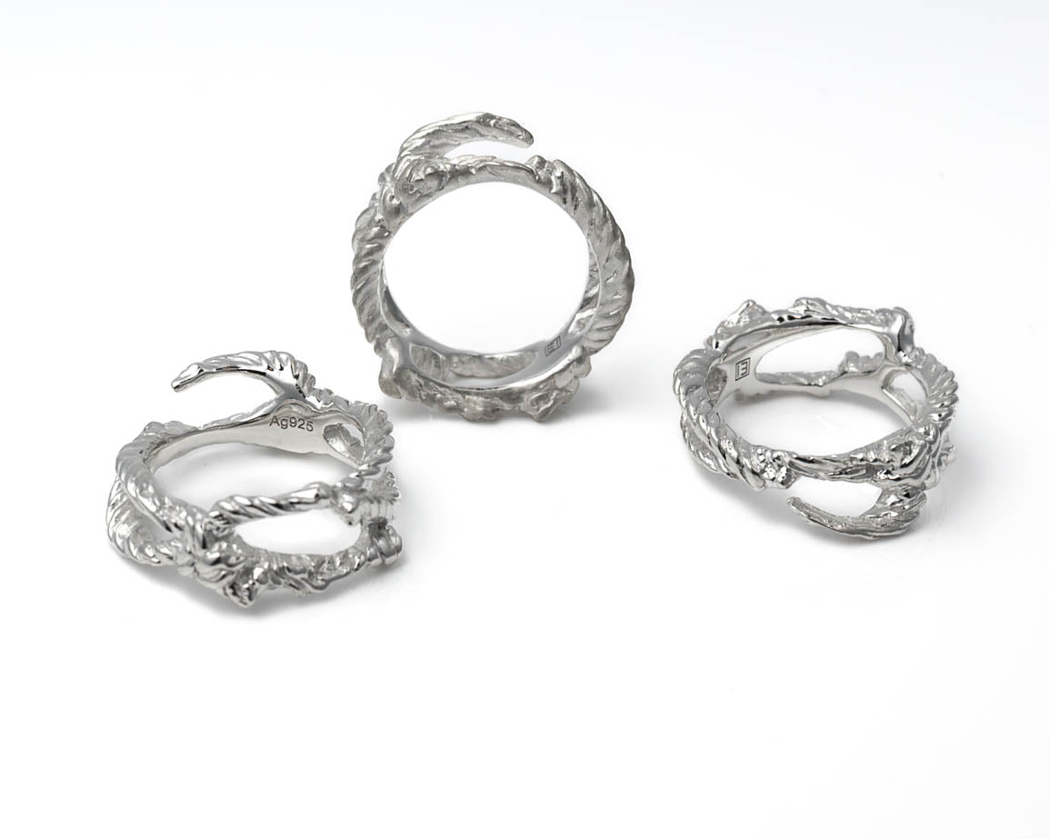Flux Ring