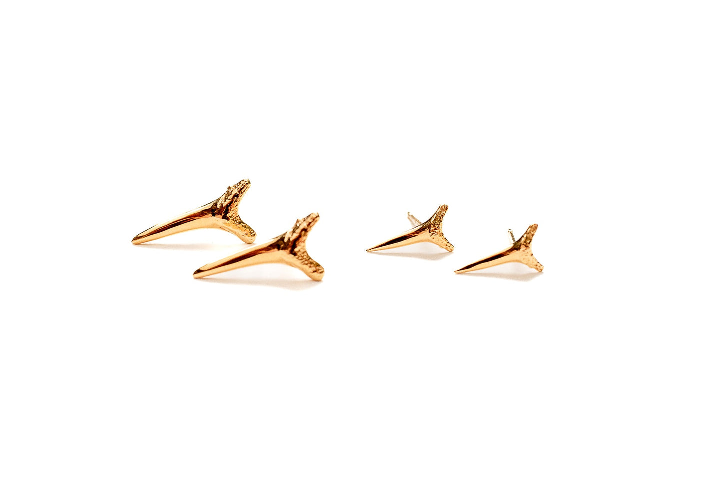 Apex stud earrings in gold vermeil with ocean-inspired shark tooth design