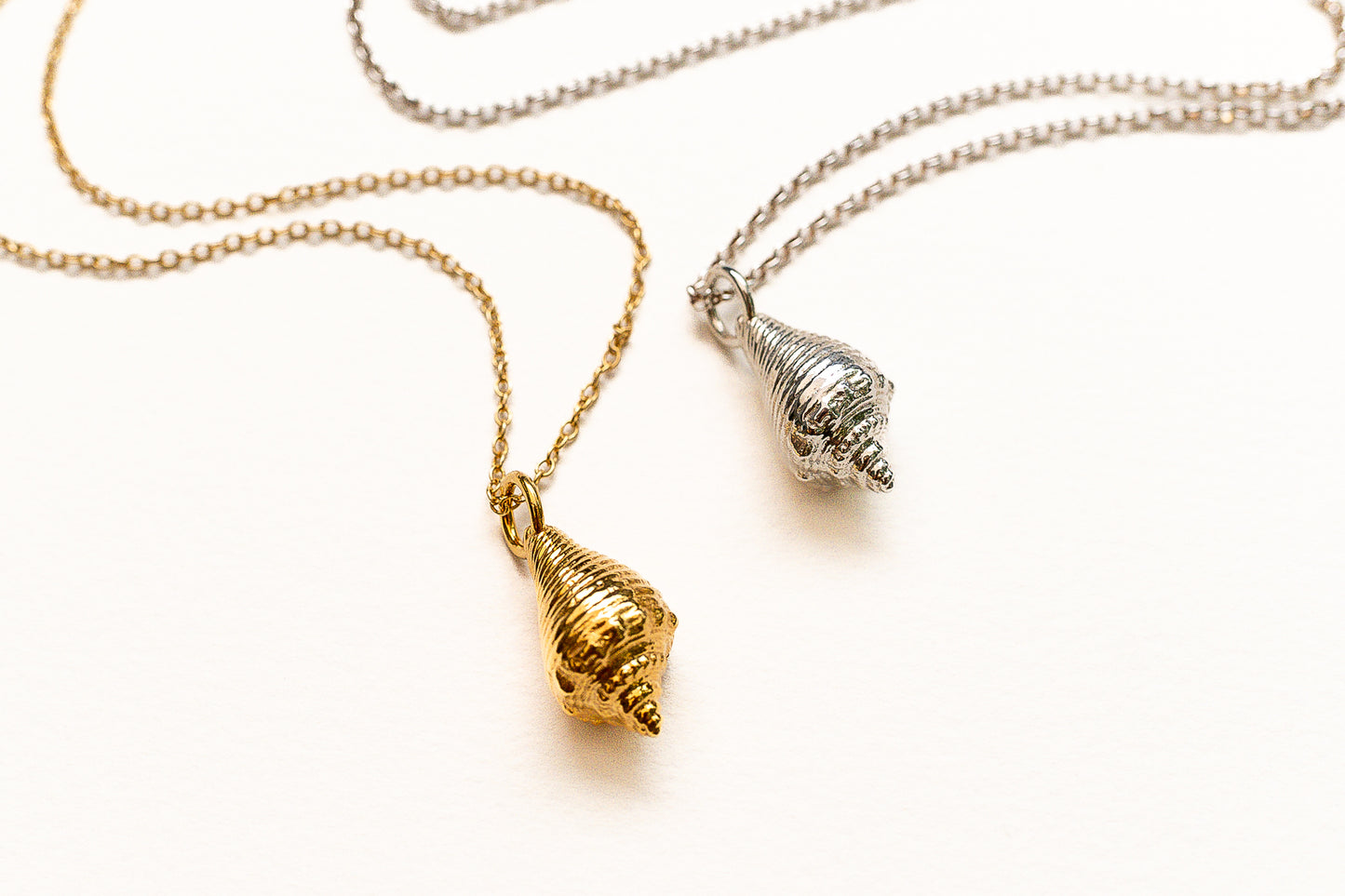 Queen Conch Necklace - Sunlit