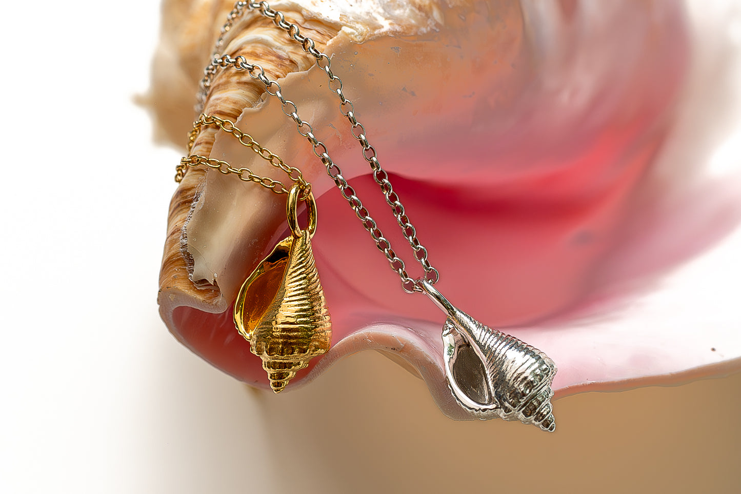 Queen Conch Necklace - Sunlit