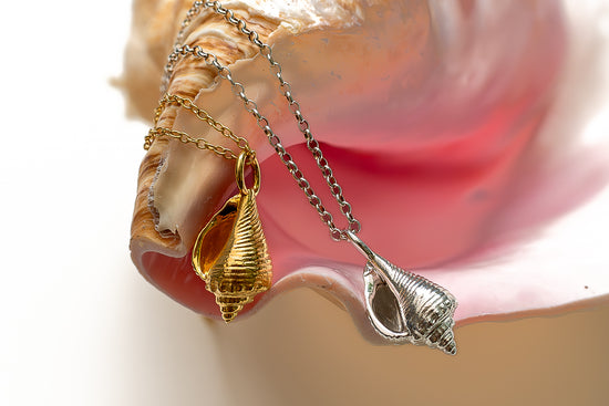 Queen Conch Necklace - Sunlit