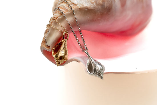 Queen Conch Necklace - Sunlit