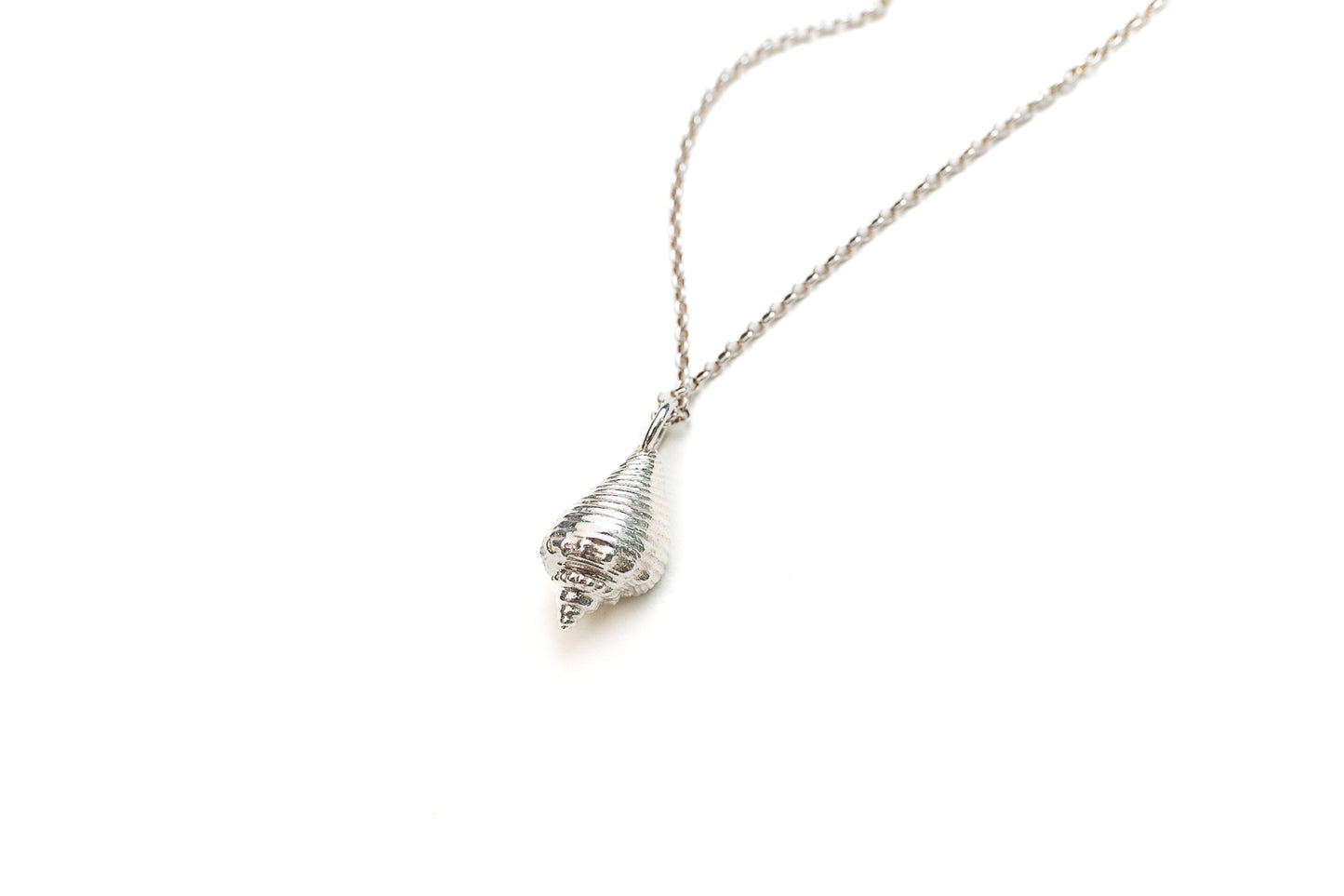 Silver Queen Conch Necklace