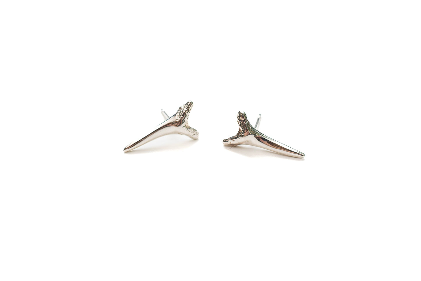 Apex stud earrings in sterling silver with ocean-inspired shark tooth design
