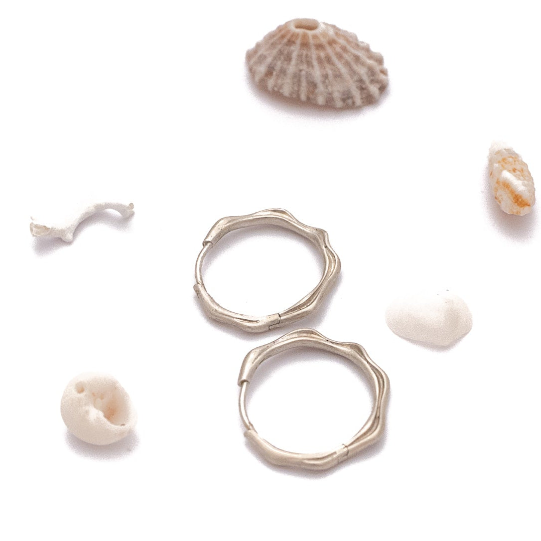 Silver hoop earrings and tiny seashells on a white background